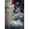 RADIATOR BRACES RED GAS GAS EC F 250 300 2014 by AXP Racing