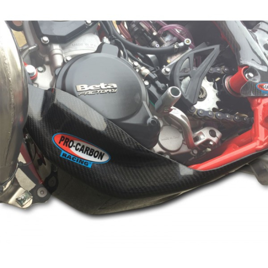 PRO-CARBON RACING Beta Bashplate - RR 250/300 2013-19