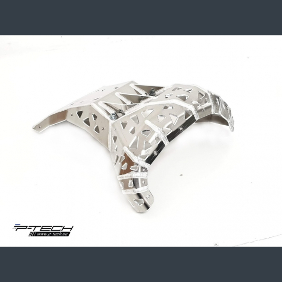 P-TECH Skid Plate with Exhaust Guard for Beta RR 250 300 201 #1