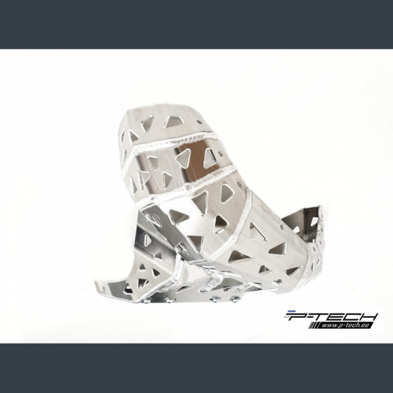 P-TECH Skid Plate with Exhaust Guard for Beta RR 200 2020 PK019