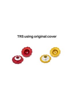 S3 TRS Cylinder Head Inserts - Original TRSINS