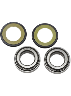 ALL BALLS Steering Stem Tapered Roller Bearings and Seals Kit 22-1024-A