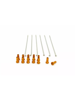 KITE Spoke And Nipple Replacement Kit 19 RR SI/OR 12PC - 20.907.0.AR