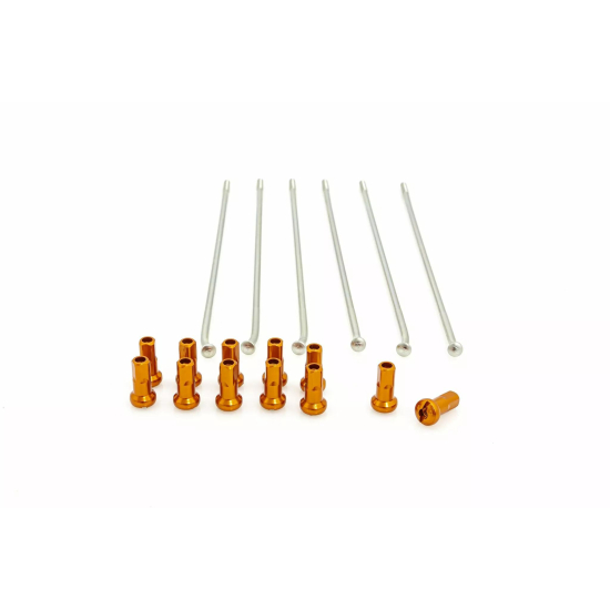 KITE Spoke And Nipple Replacement Kit 19 RR SI/OR 12PC - 20.907.0.AR